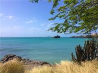 TheGrenadinesCollection