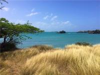 TheGrenadinesCollection