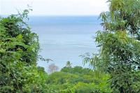 TheGrenadinesCollection