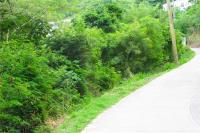 TheGrenadinesCollection