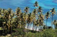 TheGrenadinesCollection