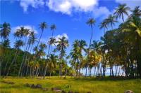 TheGrenadinesCollection