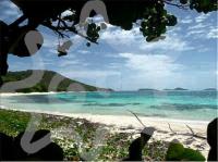 TheGrenadinesCollection