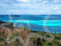 TheGrenadinesCollection