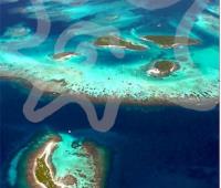 TheGrenadinesCollection