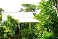 TheGrenadinesCollection