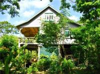 TheGrenadinesCollection