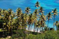 TheGrenadinesCollection