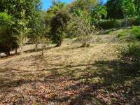 TheGrenadinesCollection