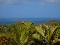 TheGrenadinesCollection