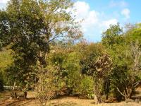 TheGrenadinesCollection