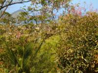 TheGrenadinesCollection