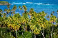 TheGrenadinesCollection