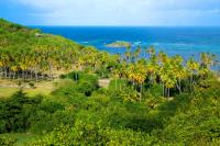 TheGrenadinesCollection