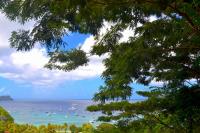 TheGrenadinesCollection