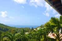 TheGrenadinesCollection