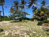 TheGrenadinesCollection