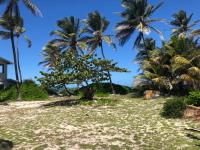 TheGrenadinesCollection