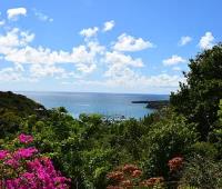 TheGrenadinesCollection