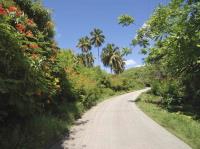 TheGrenadinesCollection