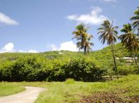 TheGrenadinesCollection