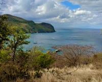 TheGrenadinesCollection