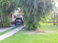 TheGrenadinesCollection