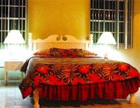 TheGrenadinesCollection