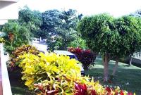 TheGrenadinesCollection