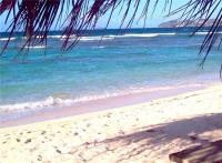 TheGrenadinesCollection