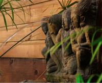 TheGrenadinesCollection