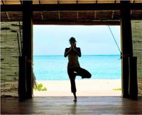 TheGrenadinesCollection