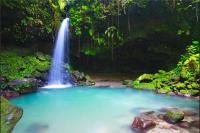 TheGrenadinesCollection