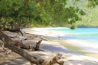 TheGrenadinesCollection