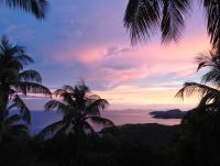 TheGrenadinesCollection