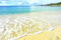 TheGrenadinesCollection