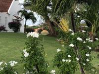 TheGrenadinesCollection