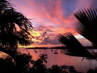 TheGrenadinesCollection