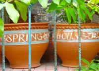 TheGrenadinesCollection