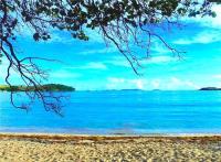 TheGrenadinesCollection