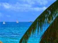 TheGrenadinesCollection