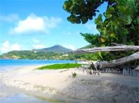 TheGrenadinesCollection