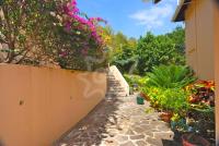 TheGrenadinesCollection