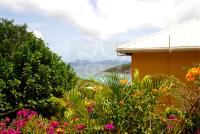 TheGrenadinesCollection