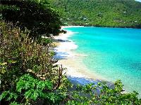 TheGrenadinesCollection