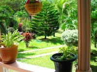 TheGrenadinesCollection