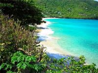 TheGrenadinesCollection