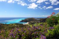 TheGrenadinesCollection