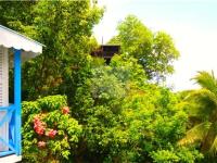 TheGrenadinesCollection