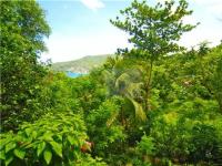 TheGrenadinesCollection